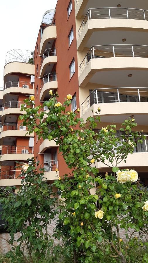 The Regent 10, Zona Vega *